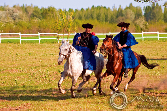 Miva Stock_1173 - Hungary, Kalocsa, Csikos horse riders