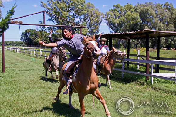 Miva Stock_3333 - Argentina, Gaucho, horseriding game