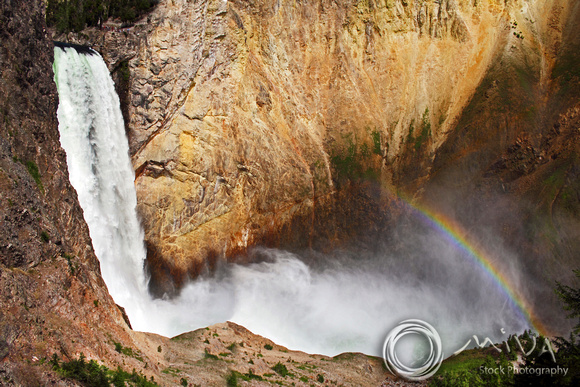 Miva Stock_3372 - USA, Wyoming, Yellowstone NP, Lower Falls
