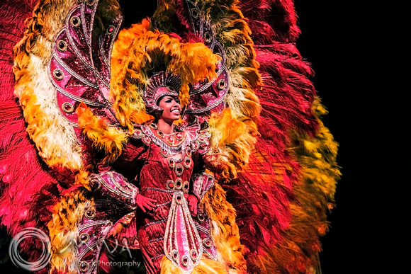 Miva Stock_3326 - Brazil, Rio de Janeiro, Samba show