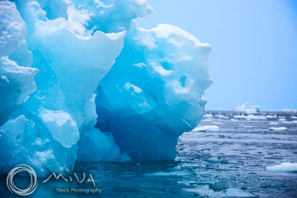 Miva Stock_3209 - Antarctica, Paradise Harbor, Icebergs