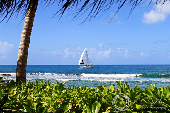 Miva Stock_3557 - Antigua, Galley Bay, beach, sailboat