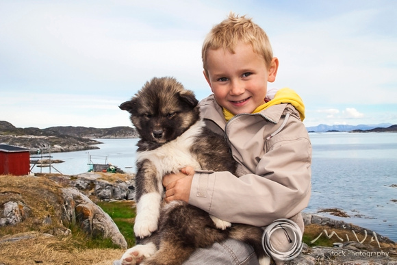 Miva Stock_3550 - Greenland, Nuuk, Sermersooq, boy, Husky puppy