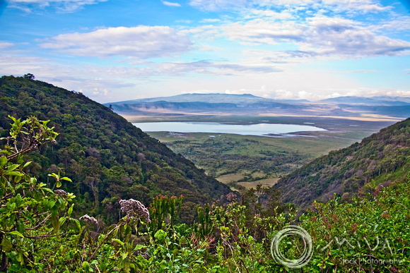 Miva Stock_3643 - Tanzania, Ngorongoro Crater, overview